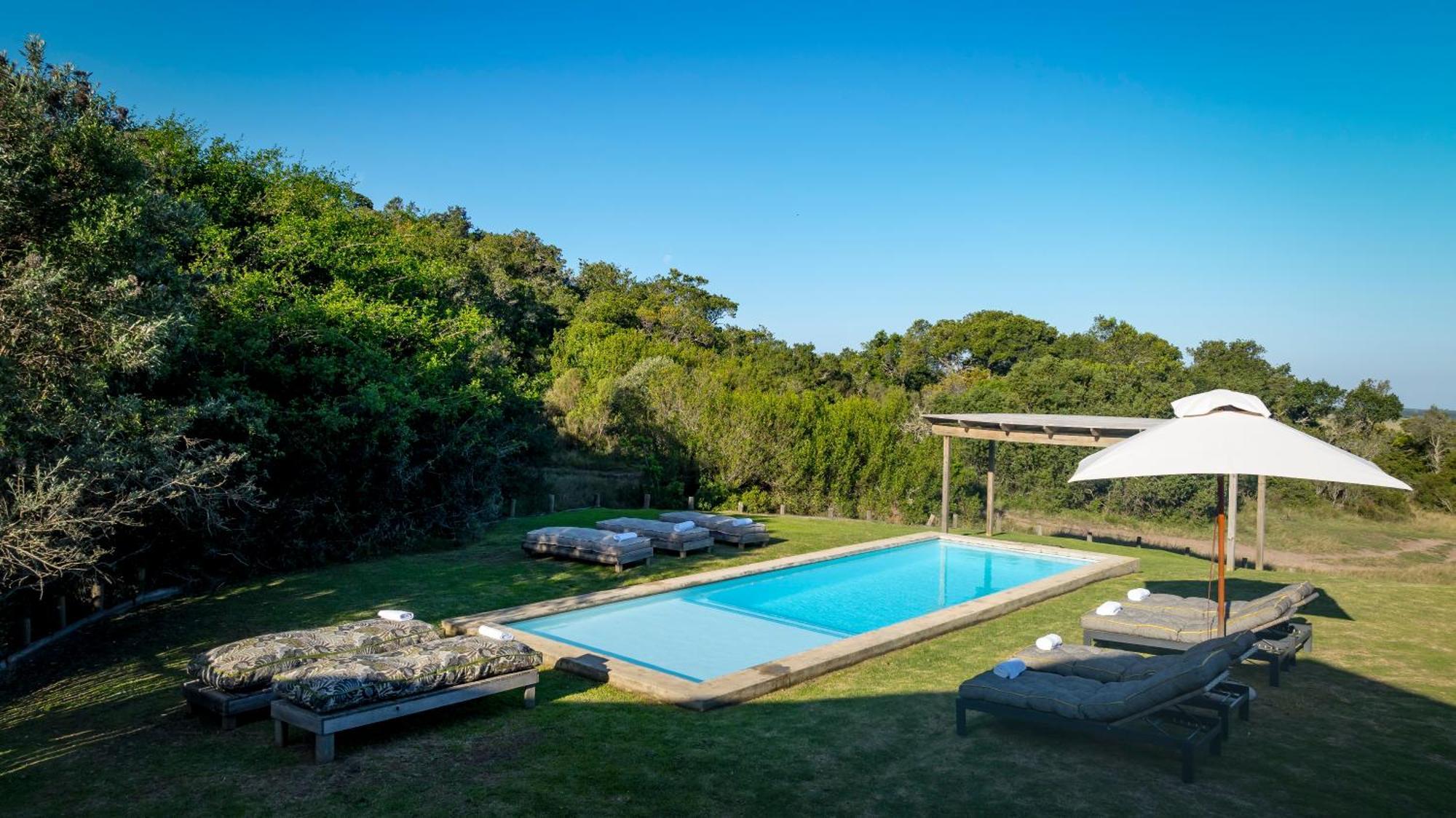 Belle Balance Bush Lodge Plettenberg Bay Exteriér fotografie