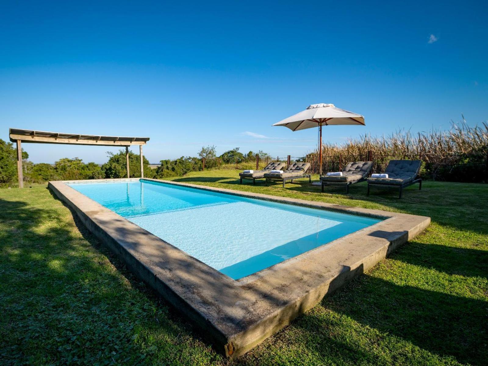 Belle Balance Bush Lodge Plettenberg Bay Exteriér fotografie