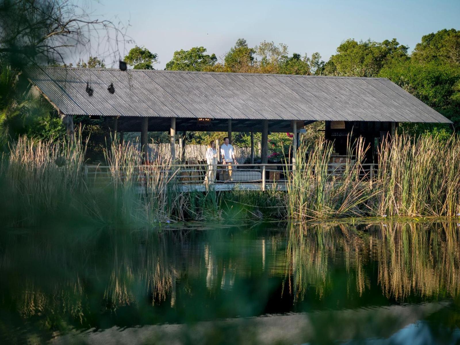 Belle Balance Bush Lodge Plettenberg Bay Exteriér fotografie