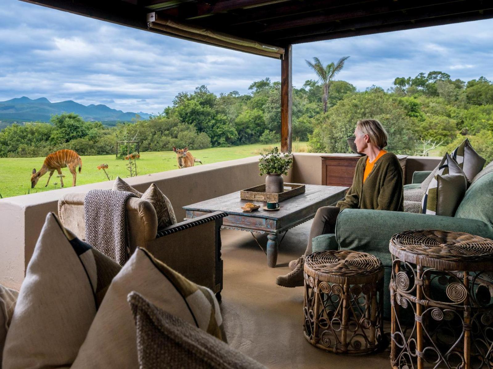 Belle Balance Bush Lodge Plettenberg Bay Exteriér fotografie
